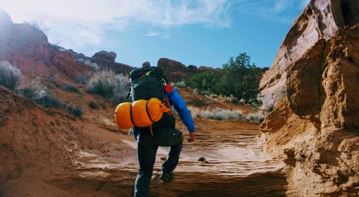 Solo explorer2.jpg__PID:dd68802c-7098-4a20-b146-822de3d63d53