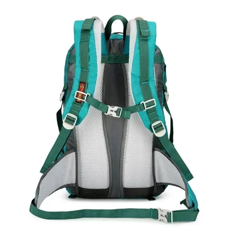 EverTrek Horizon Backpac