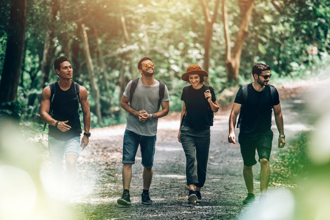 Camping for Beginners: The No-Stress Guide to Your First Adventure - TrailWynd | Power your Adventure